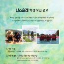 슐레 이미지