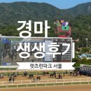 [서울대공원] 어른들의 놀이터, 렛츠런파크 서울 경마체험 솔직 후기