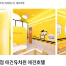 강아지를부탁해(돌봄) 이미지