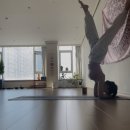 오르아요가 이미지