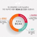 프로틴스토리