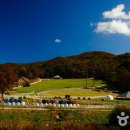 자연목장2 이미지