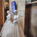 398 | [D-398] [결혼준비] 스드메 계약 후기 (제이웨딩/다이렉트/웨딩컨시어지 비교)