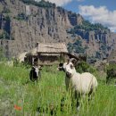 (주)시스파인 이미지