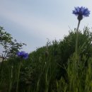 솔아농장 이미지