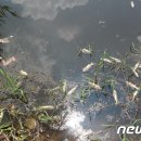 서지제 이미지