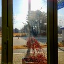 이서면 소로3-16(혁신) | [전주 브런치 카페] 특별한 분위기의 혁신도시 브런치 카페 <웨스턴 리더빌>