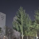 이레의뜰