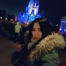 2017년 1월, 디즈니월드(Walt Disney World) Day 1-3 - Magic Kingdom : Festival of Fantasy &amp; Evening...