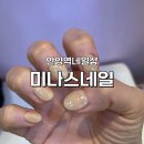 미나스네일 - 안양시 만안구 장내로139번길 56-12 | 미나스네일