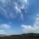 풍물바베큐 네이버블로그