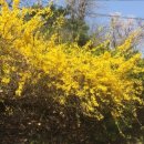 시작한의원 이미지