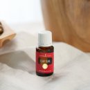 일랑일랑 이미지