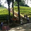 보성아이스크림 이미지