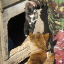 산골자전거 이미지