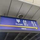 카페이다음 이미지