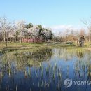 정선군 종합관광안내소 이미지