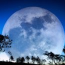 천지회관 이미지