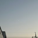 정원세차장 | 콩국수, 원주카페 플레이리스트, 소브루, 대전명상정원, 피브완, 성심당, 원주피티샵 컨피던스짐 방문...
