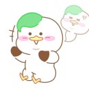 G4980 이미지
