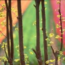 어머니와고등어 이미지