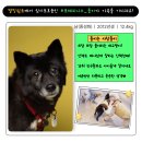 별빛쉼표 이미지