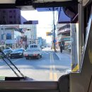 상주임업사 이미지