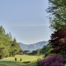 조은나이스 이미지