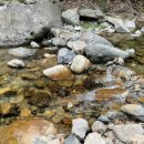 바우농장 이미지