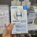 필동물병원 | 광주 동물병원 필동물병원 건강검진 혈액검사 하고 온 솔직후기