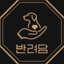 반려담 네이버블로그
