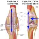 온천동물병원 이미지