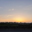 월정씨하루 이미지