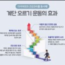 인천복싱 정우관 근육 1kg의 가치는 얼마일까?/계단 오르기의 효과! 이미지