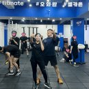 핏메이트 크로스핏 이미지