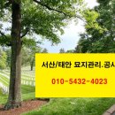 태안묘지이장.벌초