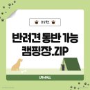 청산관광농원(트리독스) | [경상도] 반려견 동반가능 캠핑장 #LPMALL