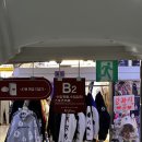 동대문 수영복 코코비치ㅣ호치민 여행 전 수영복 비치웨어 준비 얍