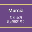 디마드 이미지