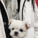 레이업커피 이미지