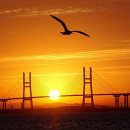 신평축산 이미지