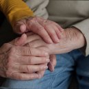 선덕효심원 이미지