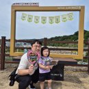 🌳 아빠와 함께 서리지 걷기-사랑팀 (데이지반&올리브반)☝🏻🌳 이미지