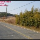 청양군남양면백금보건진료소 네이버블로그