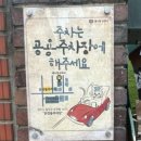 청주고양이입양지원센터 애니멀공화국 이미지