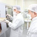 HMO건강드림영농조합법인 이미지