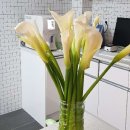 미르동물병원 이미지