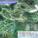 송림 | 충청도 안면도수목원,식물원 나들이 여행,데이트코스
