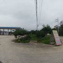 선장면 아산만로 이미지