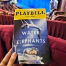 The Notebook | [공연] 15편 뉴욕 브로드웨이 뮤지컬 The Notebook, Back to the Future, Water for Elephants 관람 후기